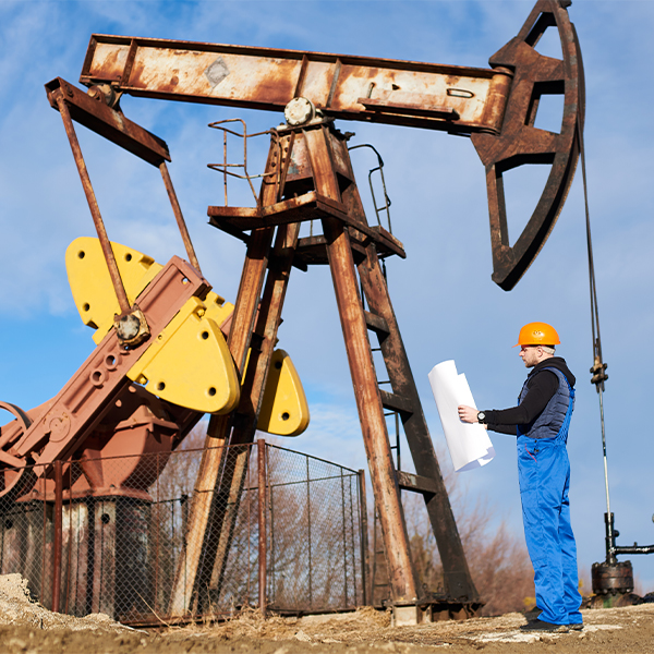 Petroquímicos
